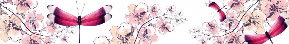 skinali 0337